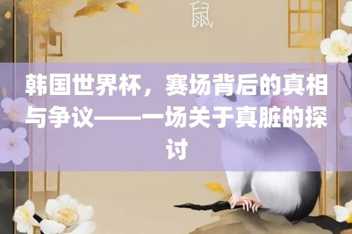 韩国世界杯，赛场背后的真相与争议——一场关于真脏的探讨