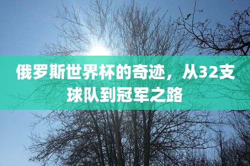 俄罗斯世界杯的奇迹，从32支球队到冠军之路洛阳市法福文化传播有限公司
