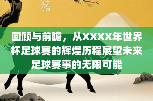 回顾与前瞻，从XXXX年世界杯足球赛的辉煌历程展望未来足球赛事的无限可能洛阳市法福文化传播有限公司