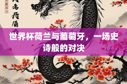 世界杯荷兰与葡萄牙，一场史诗般的对决