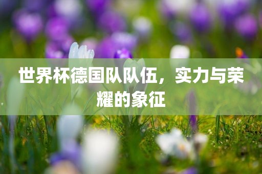 世界杯德国队队伍，实力与荣耀的象征