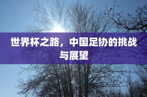 世界杯之路，中国足协的挑战与展望
