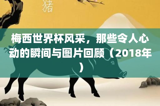 梅西世界杯风采，那些令人心动的瞬间与图片回顾（2018年）洛阳市法福文化传播有限公司
