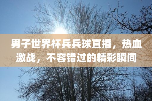 男子世界杯兵兵球直播，热血激战，不容错过的精彩瞬间