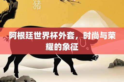 阿根廷世界杯外套，时尚与荣耀的象征洛阳市法福文化传播有限公司