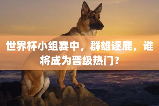 世界杯小组赛中，群雄逐鹿，谁将成为晋级热门？