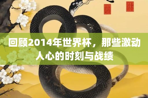 回顾2014年世界杯，那些激动人心的时刻与战绩洛阳市法福文化传播有限公司