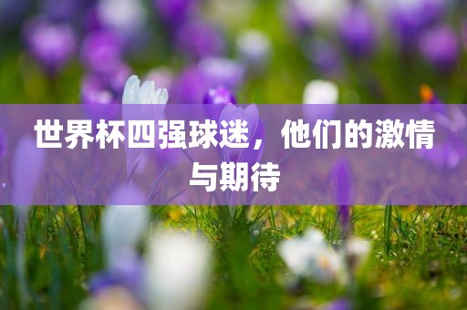 世界杯四强球迷，他们的激情与期待