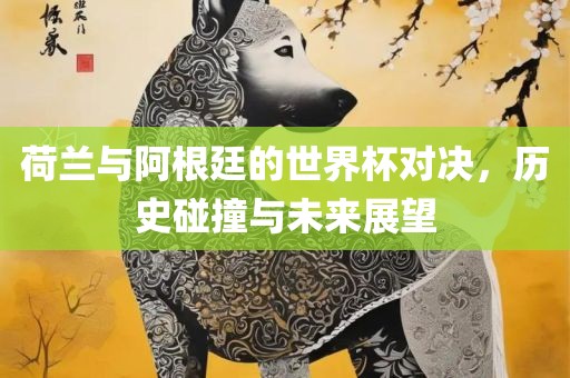荷兰与阿根廷的世界杯对决，历史碰撞与未来展望