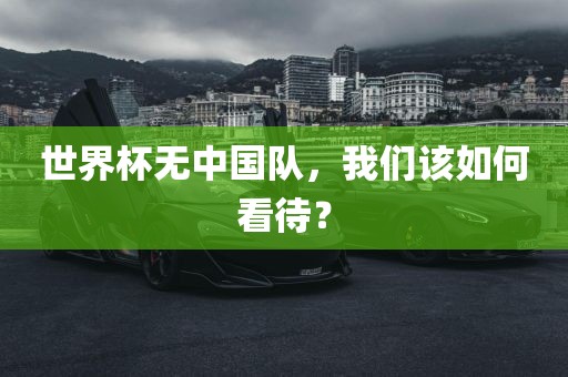 世界杯无中国队，我们该如何看待？洛阳市法福文化传播有限公司