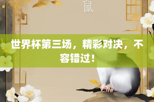 世界杯第三场，精彩对决，不容错过！洛阳市法福文化传播有限公司