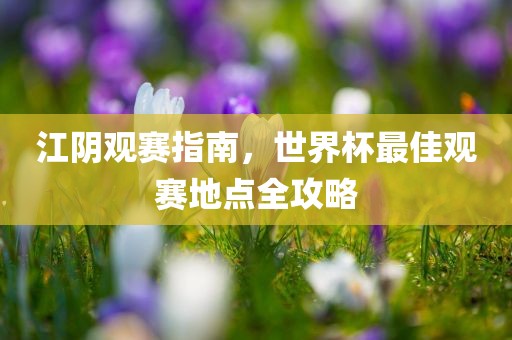 江阴观赛指南，世界杯最佳观赛地点全攻略洛阳市法福文化传播有限公司