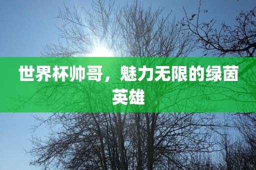 世界杯帅哥，魅力无限的绿茵英雄