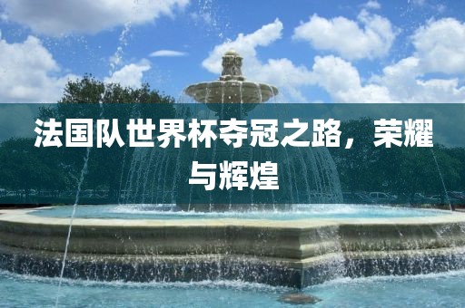 法国队世界杯夺冠之路，荣耀与辉煌洛阳市法福文化传播有限公司