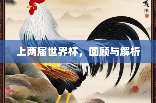 上两届世界杯，回顾与解析