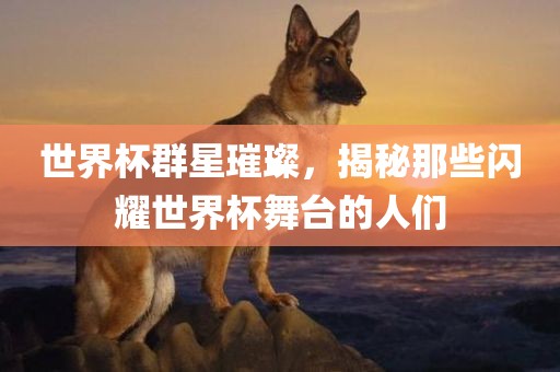 世界杯群星璀洛阳市法福文化传播有限公司璨，揭秘那些闪耀世界杯舞台的人们