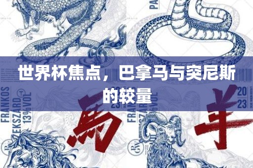 世界杯焦点，巴拿马与突尼斯的较量洛阳市法福文化传播有限公司