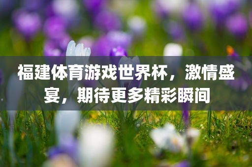 福建体育游戏世界杯，激情盛宴，期待更多精彩瞬间