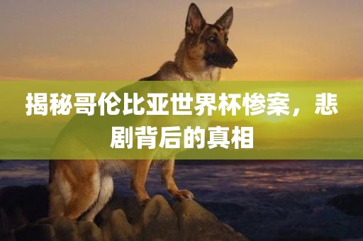 揭秘哥伦比亚世界杯惨案，悲剧背后的真相洛阳市法福文化传播有限公司