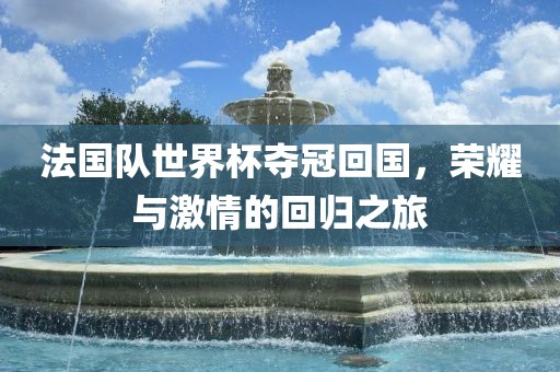 法国队世界杯夺冠回国，荣耀与激情的回归之旅