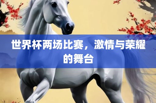 世界杯两场比赛，激情与荣耀的舞台洛阳市法福文化传播有限公司