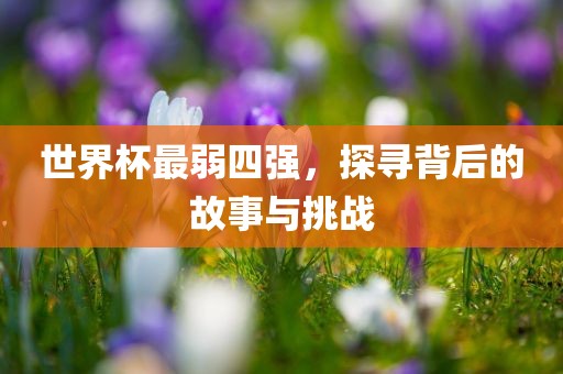 世界杯最弱四强，探寻背后的故事与挑战
