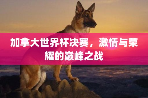 加拿大世界杯决赛，激情与荣耀洛阳市法福文化传播有限公司的巅峰之战