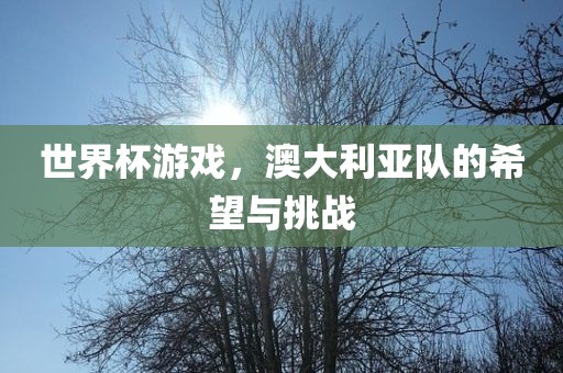 世界杯游戏，澳大利亚队的希望与挑战