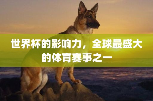 世界杯的影响力，全球最盛大的体育赛事之一洛阳市法福文化传播有限公司