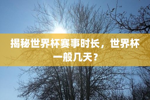 揭秘世界杯赛事时长，世界杯一般几天？洛阳市法福文化传播有限公司