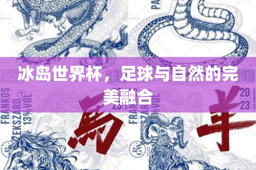冰岛世界杯，足球与自然的完美融合