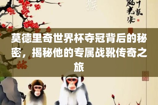 莫德里奇世界杯夺冠背后的秘密，揭秘他的专属战靴传奇之旅洛阳市法福文化传播有限公司