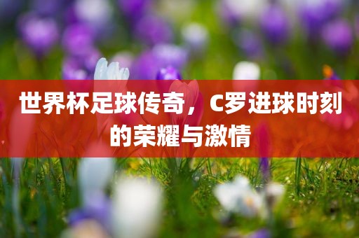 世界杯足球传奇，C罗进球时刻洛阳市法福文化传播有限公司的荣耀与激情