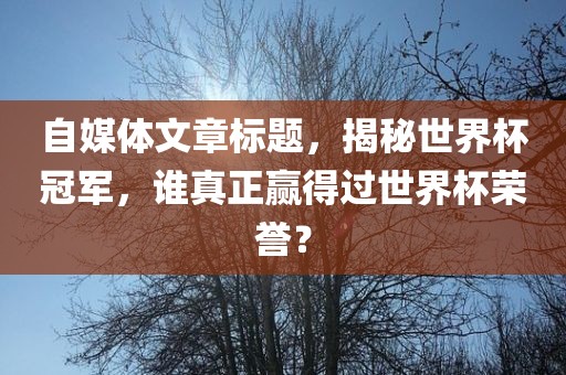 自媒体文章标题，揭秘世界杯冠军，谁真正赢得过世界杯荣誉？