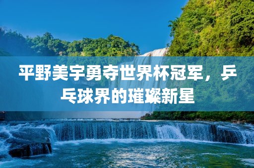 平野美宇勇夺世界杯冠军，乒乓球界的璀璨新星洛阳市法福文化传播有限公司