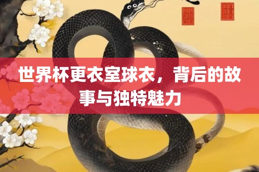 世界杯更衣室球衣，背后的故事与独特魅力
