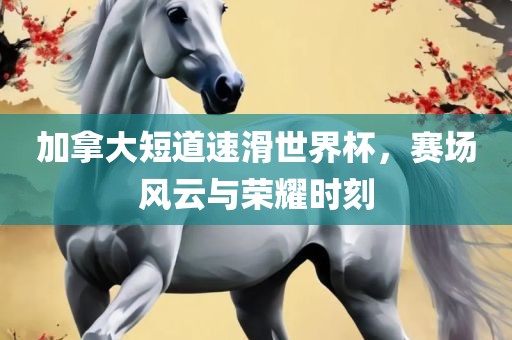 加拿大短道速滑世界杯，赛场风云与荣耀时刻洛阳市法福文化传播有限公司