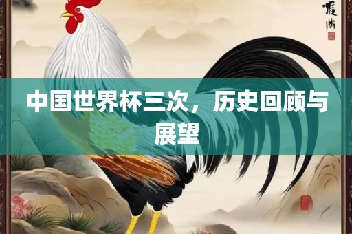 中国世界杯三次，历史回顾与展望