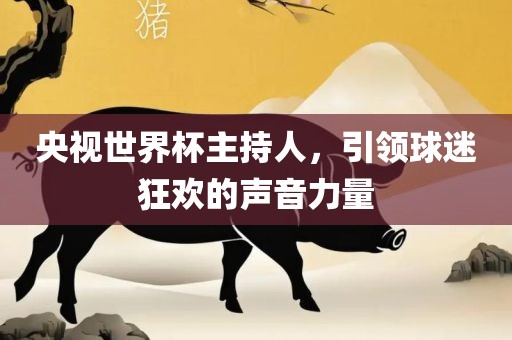 央视世界杯主持人，引领球迷狂欢的声音力量洛阳市法福文化传播有限公司
