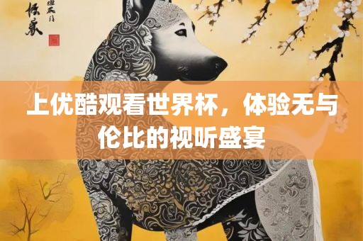 上优酷观看世界杯，体验无与伦比的视听盛宴