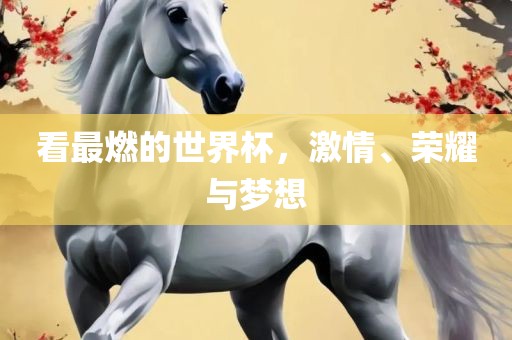 看最燃的世界杯，激情、荣耀与梦想洛阳市法福文化传播有限公司