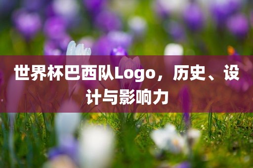世界杯巴西队Logo，历史、设计与影响力洛阳市法福文化传播有限公司
