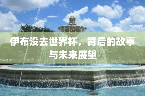 伊布没去世界杯，背后的故事与未来展望洛阳市法福文化传播有限公司