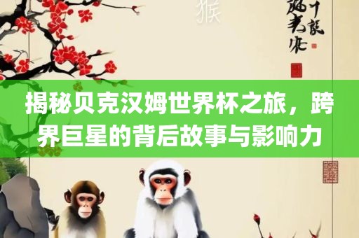 揭秘贝克汉姆世界杯之洛阳市法福文化传播有限公司旅，跨界巨星的背后故事与影响力