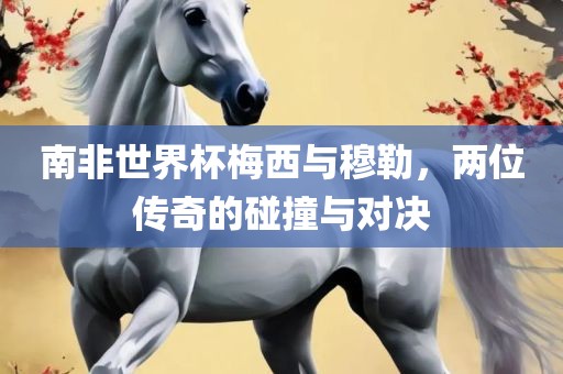 南非世界杯梅西与穆勒，两位传奇的碰撞与对决洛阳市法福文化传播有限公司