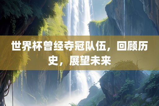 世界杯曾经夺冠队伍，回顾历史，展望未来