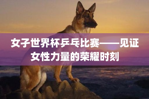 女孑世界杯乒乓比赛——见证女性力量的荣耀时刻洛阳市法福文化传播有限公司