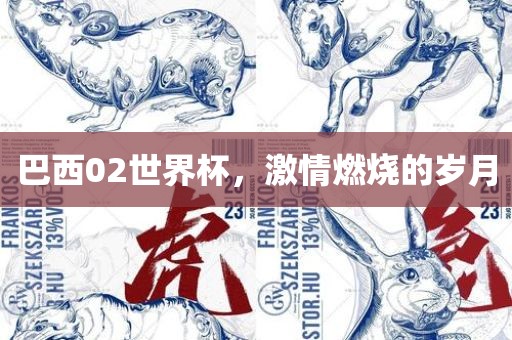 巴西02世界杯，激情燃烧的岁月