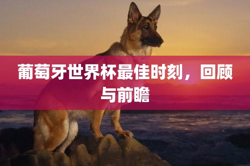 葡萄牙世界杯最佳时刻，回顾与前瞻洛阳市法福文化传播有限公司