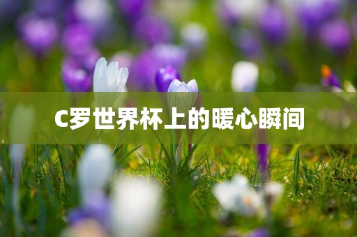 C罗世界杯上的暖心瞬间